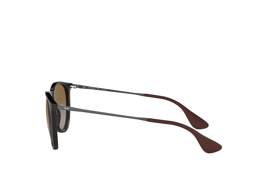 Ray-Ban 4171 Sunglass