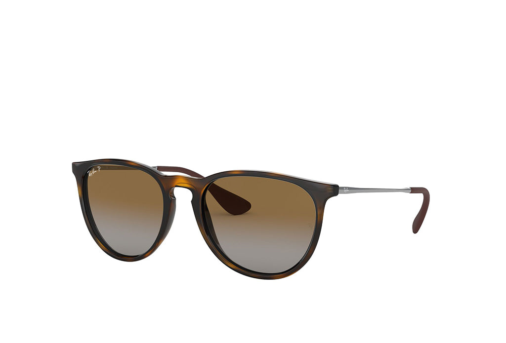 Ray-Ban 4171 Sunglass