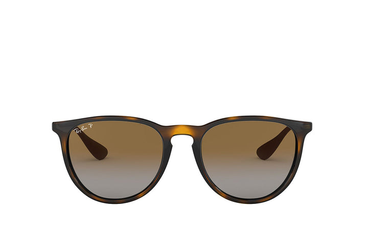 Ray-Ban 4171 Sunglass