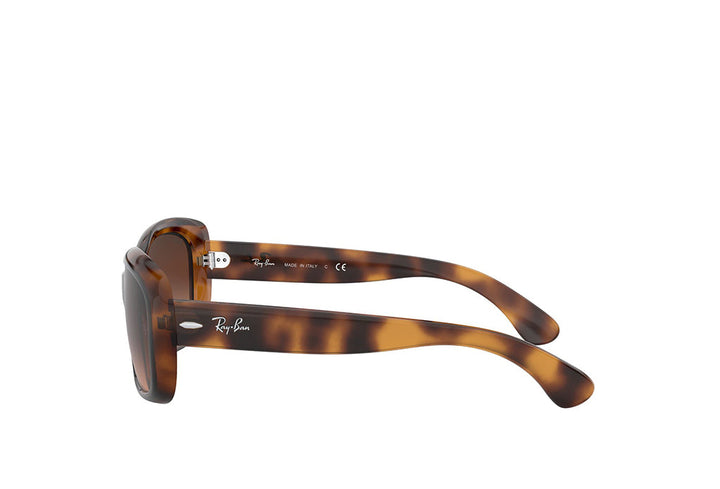 Ray-Ban 4101 Sunglass