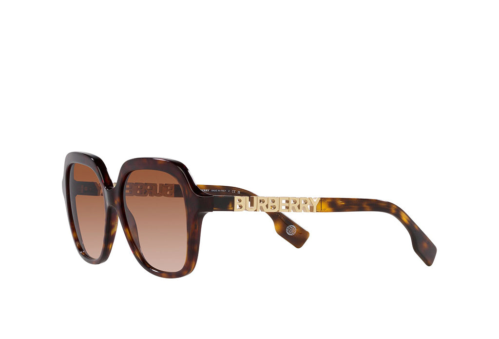 Burberry 4389 Sunglass