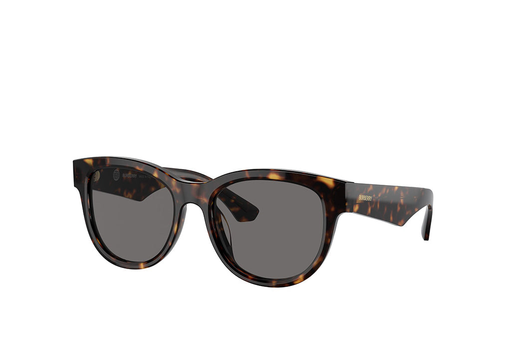 Burberry 4432U Sunglass
