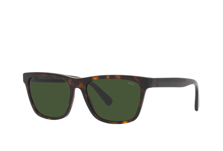 Polo Ralph Lauren 4167 Sunglass