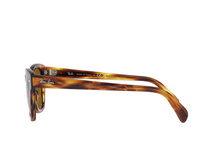 Ray-Ban 0707S Sunglass