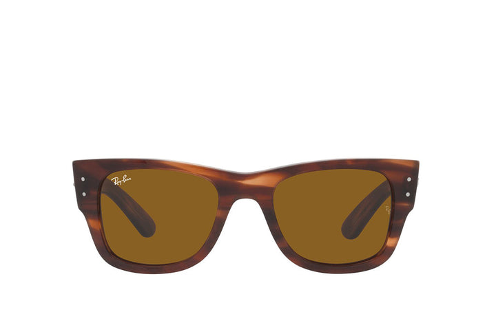 Ray-Ban 0840S Sunglass