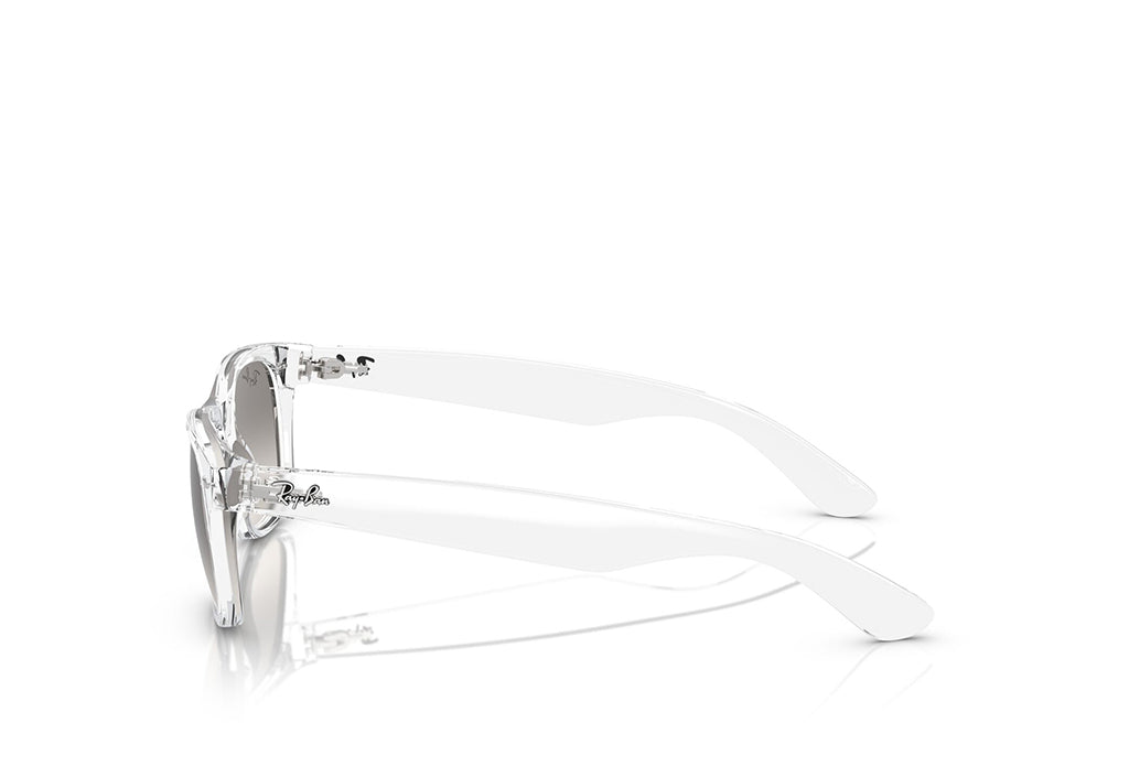 Ray-Ban 2132 Sunglass