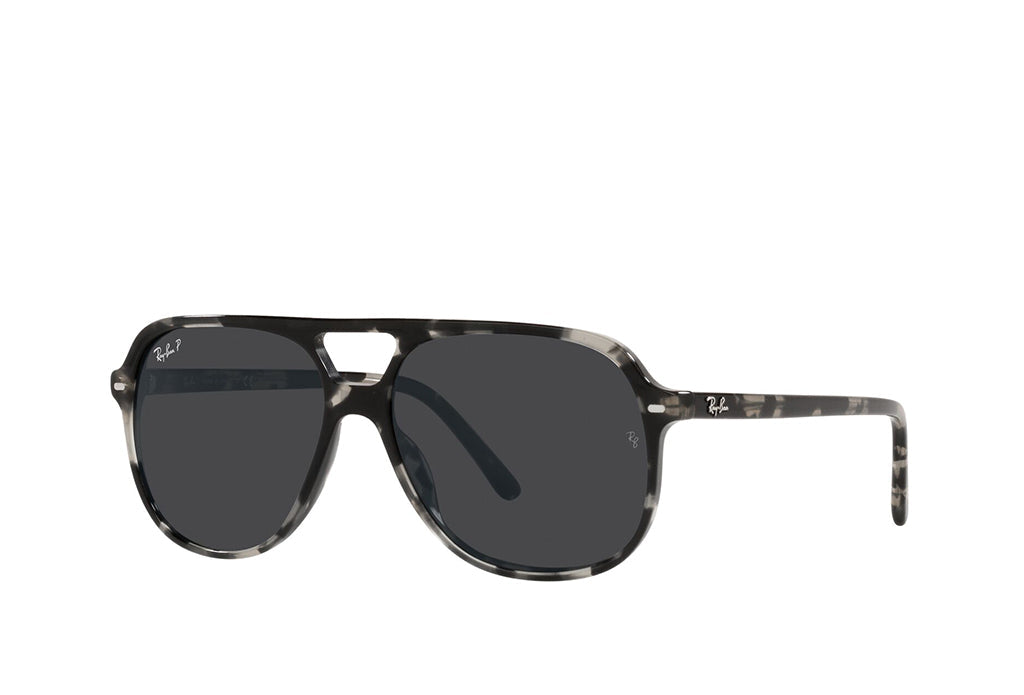 Ray-Ban 2198 Sunglass