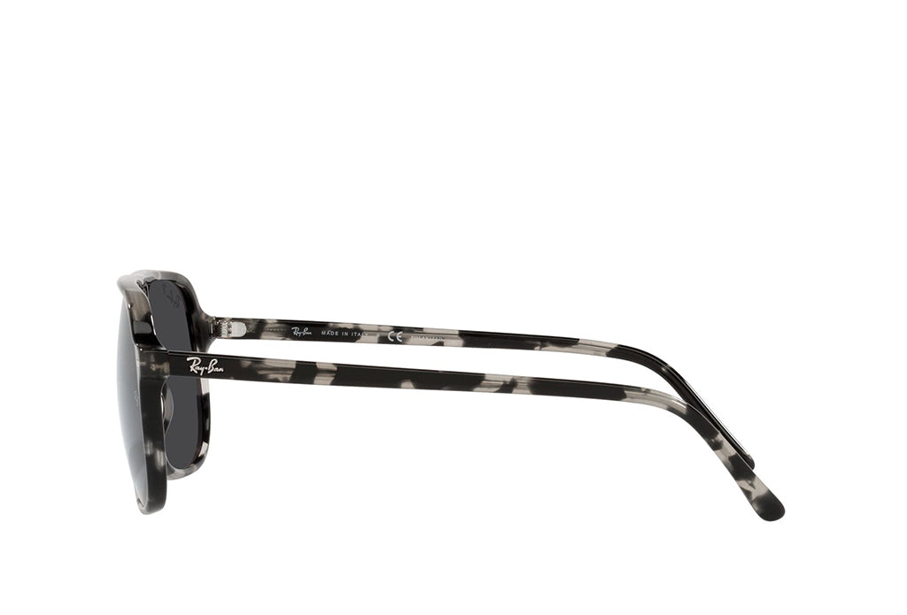 Ray-Ban 2198 Sunglass