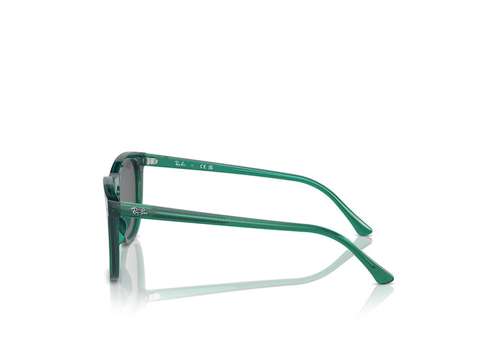 Ray-Ban 2210 Sunglass