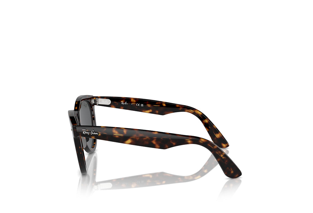 Ray-Ban 2241 Sunglass