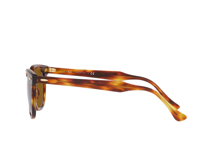 Ray-Ban 2298 Sunglass