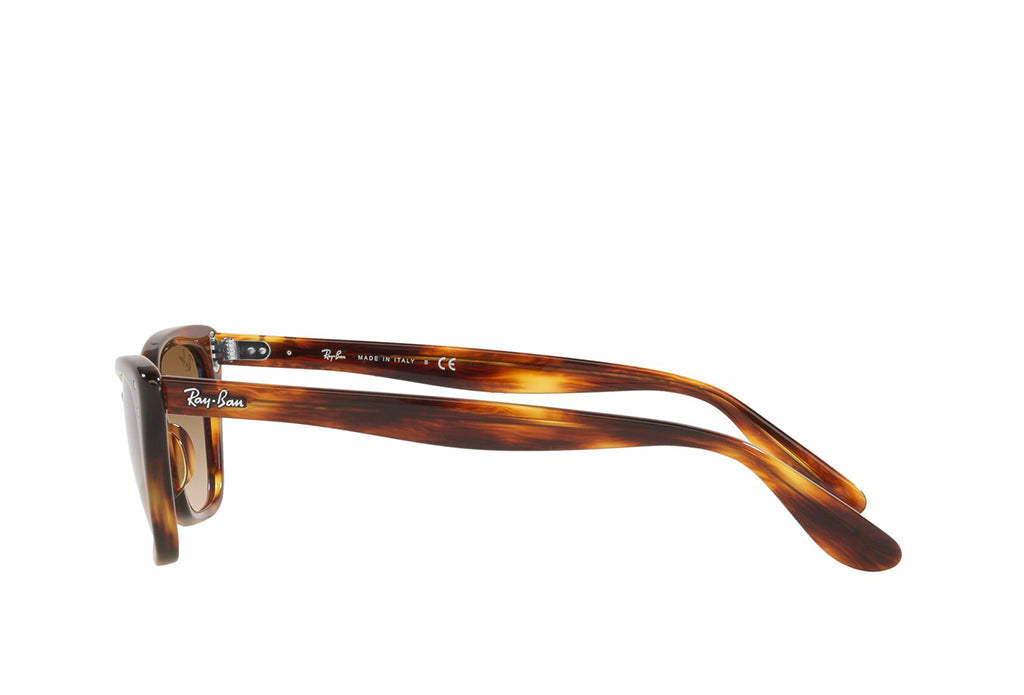 Ray-Ban 2299 Sunglass