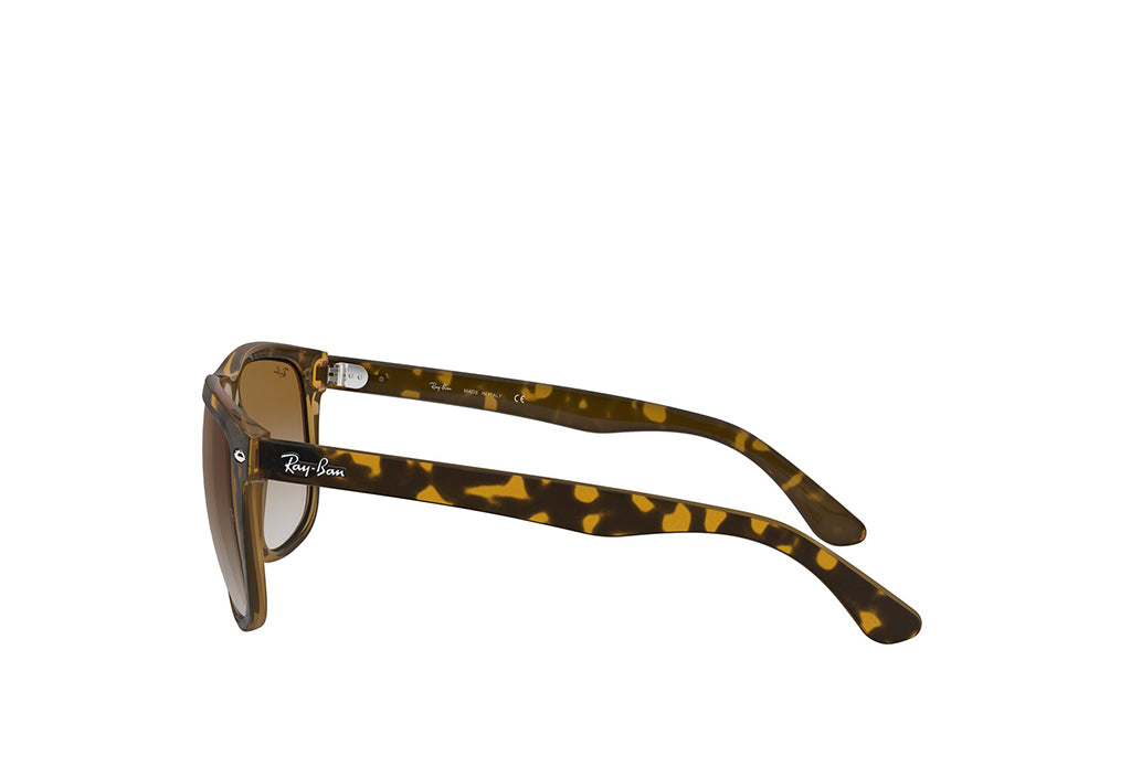 Ray-Ban 4147 Sunglass