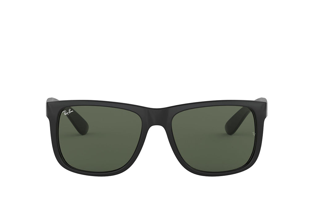 Ray-Ban 4165 Sunglass