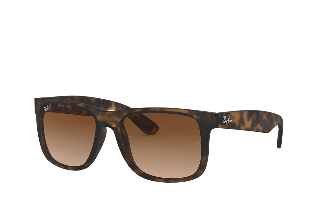 Ray-Ban 4165 Sunglass