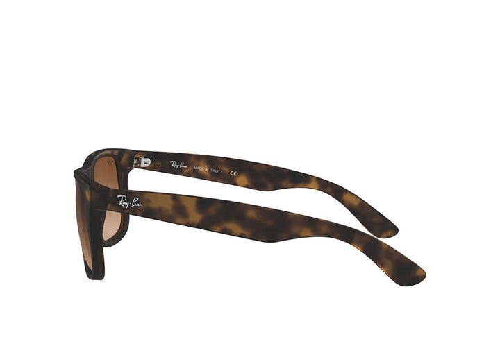 Ray-Ban 4165 Sunglass