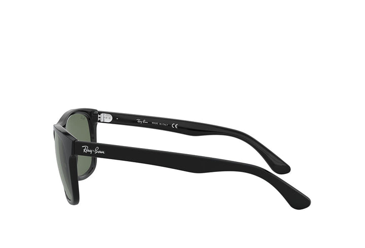 Ray-Ban 4181 Sunglass