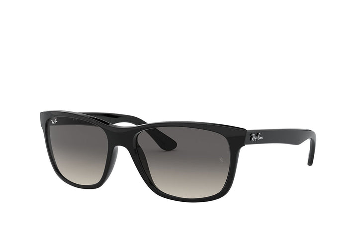 Ray-Ban 4181 Sunglass