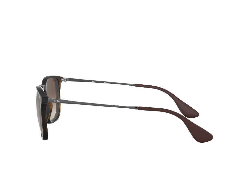 Ray-Ban 4187 Sunglass