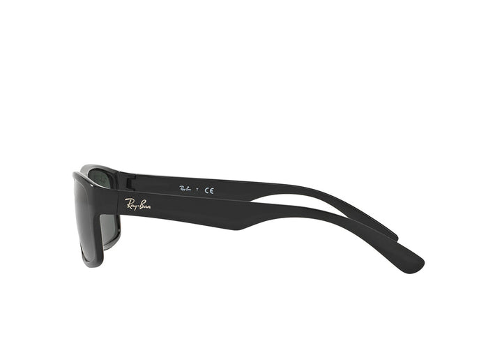 Ray-Ban 4205I Sunglass