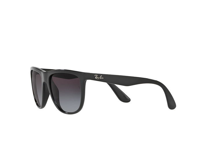 Ray-Ban 4251I Sunglass