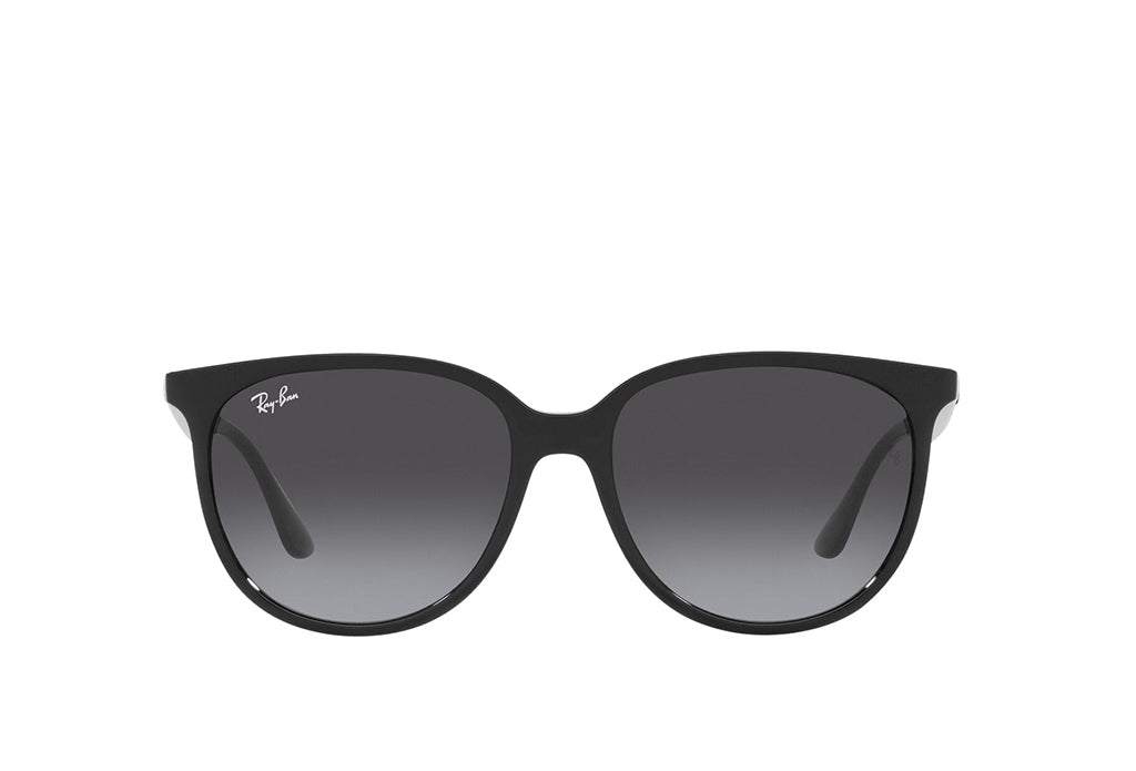Ray-Ban 4378 Sunglass