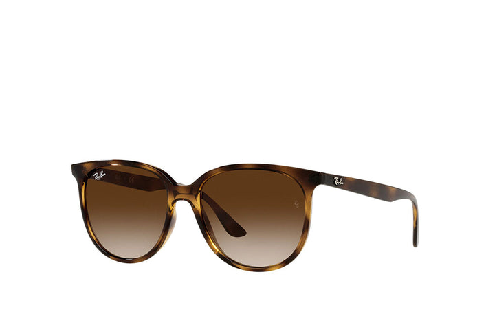 Ray-Ban 4378 Sunglass