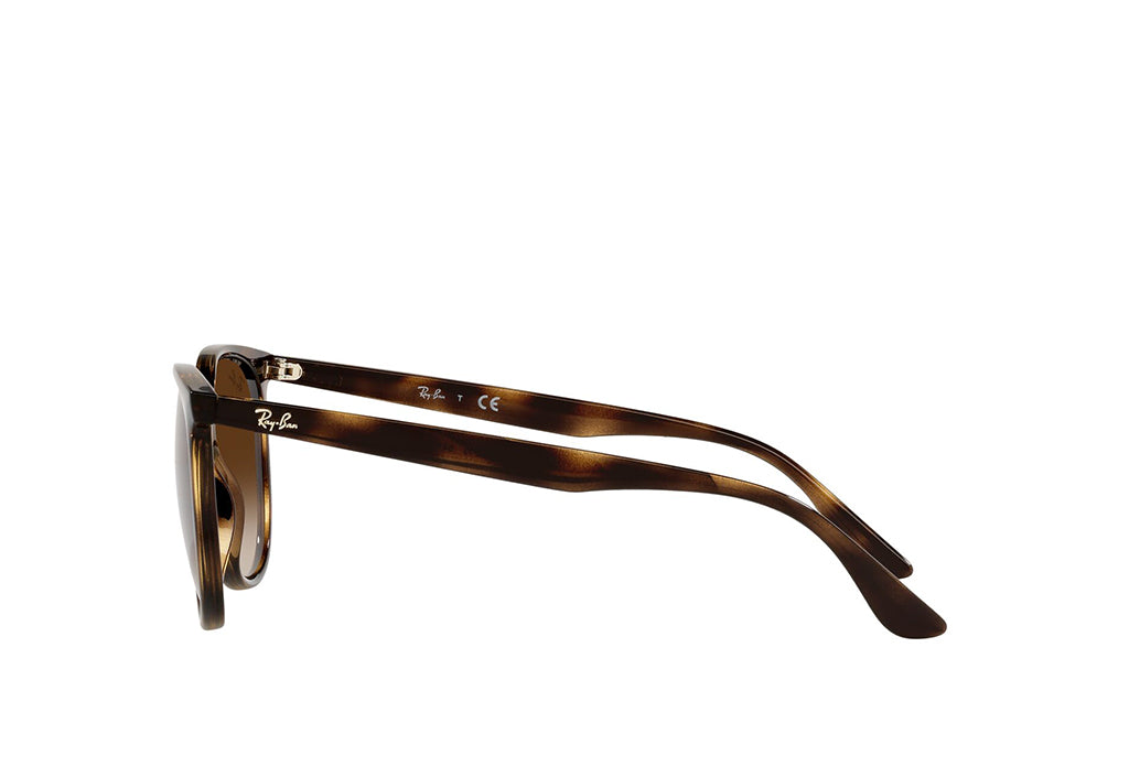 Ray-Ban 4378 Sunglass