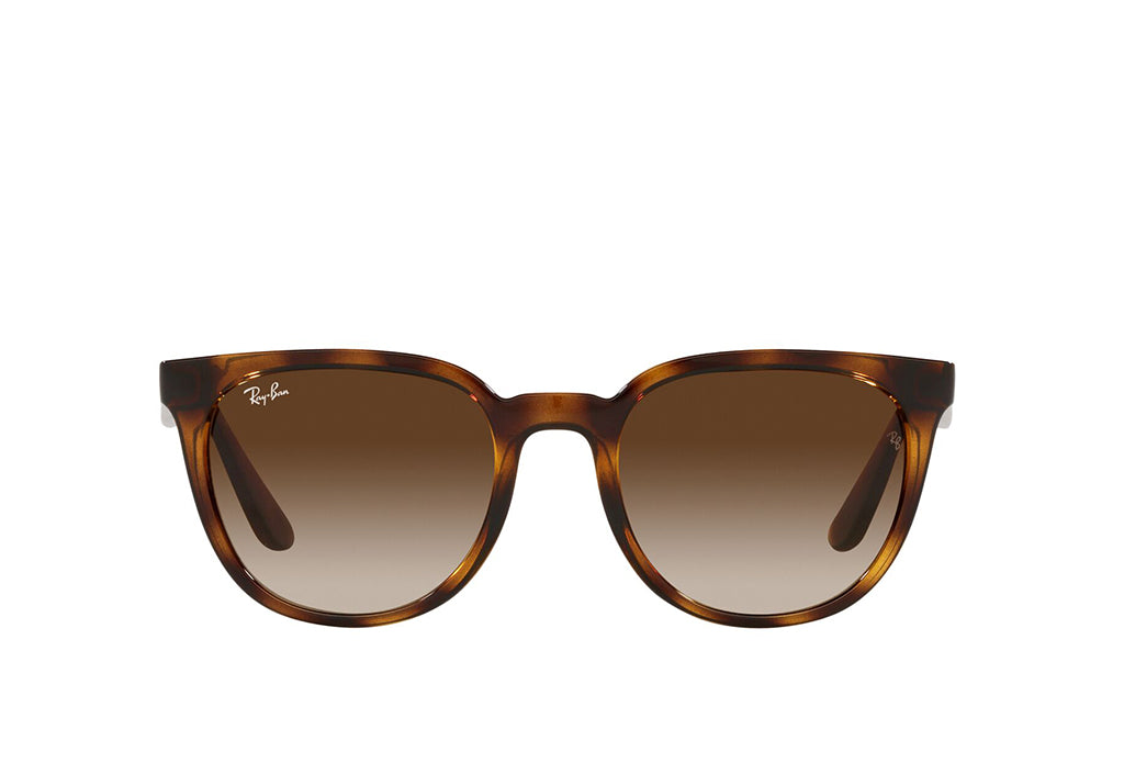 Ray-Ban 4381I Sunglass