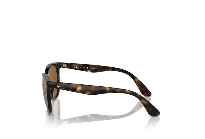 Ray-Ban 4381I Sunglass