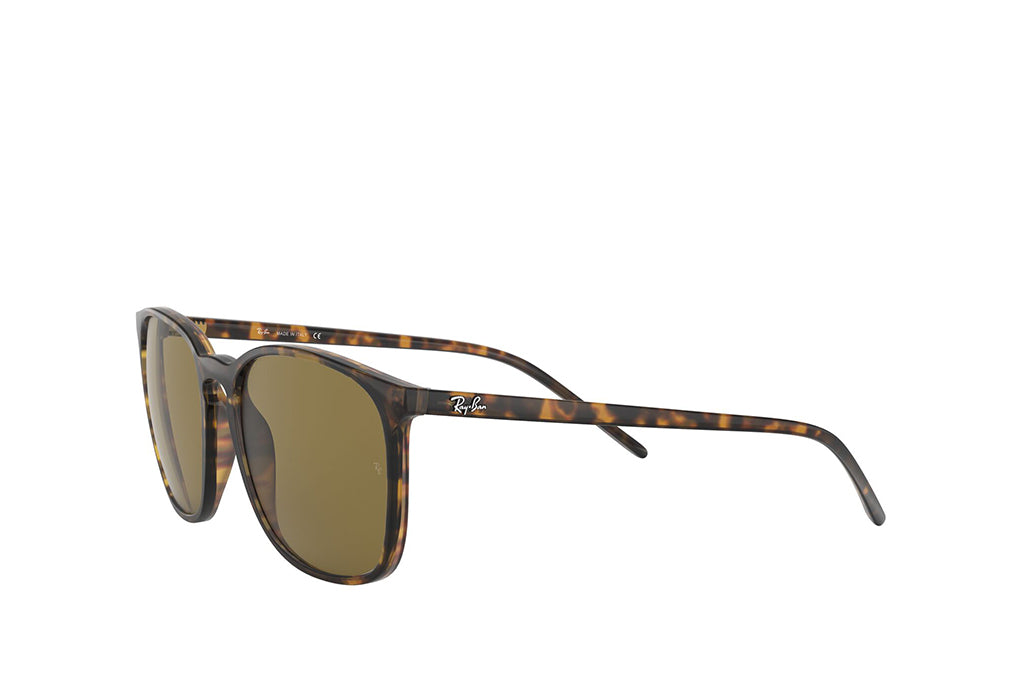 Ray-Ban 4387 Sunglass