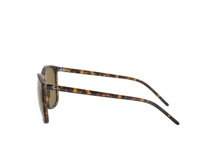 Ray-Ban 4387 Sunglass