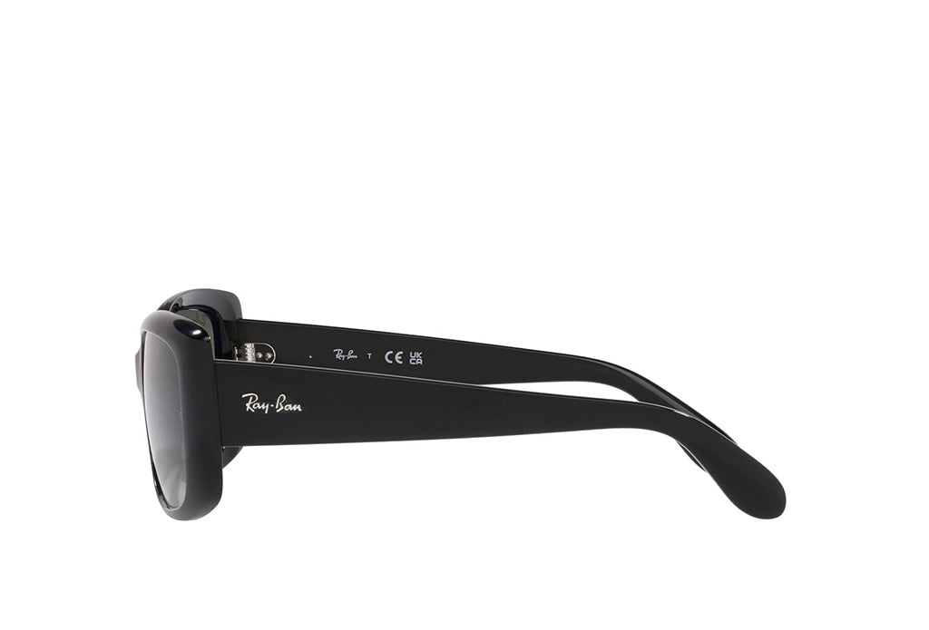 Ray-Ban 4389 Sunglass
