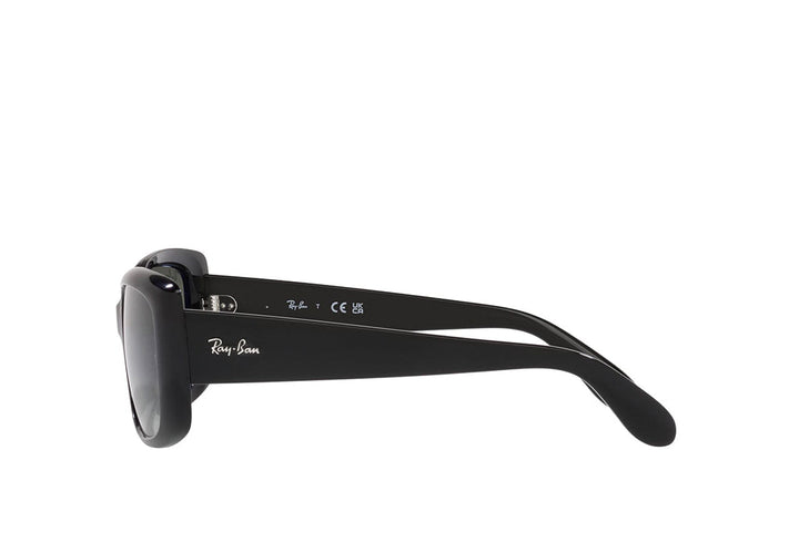 Ray-Ban 4389 Sunglass