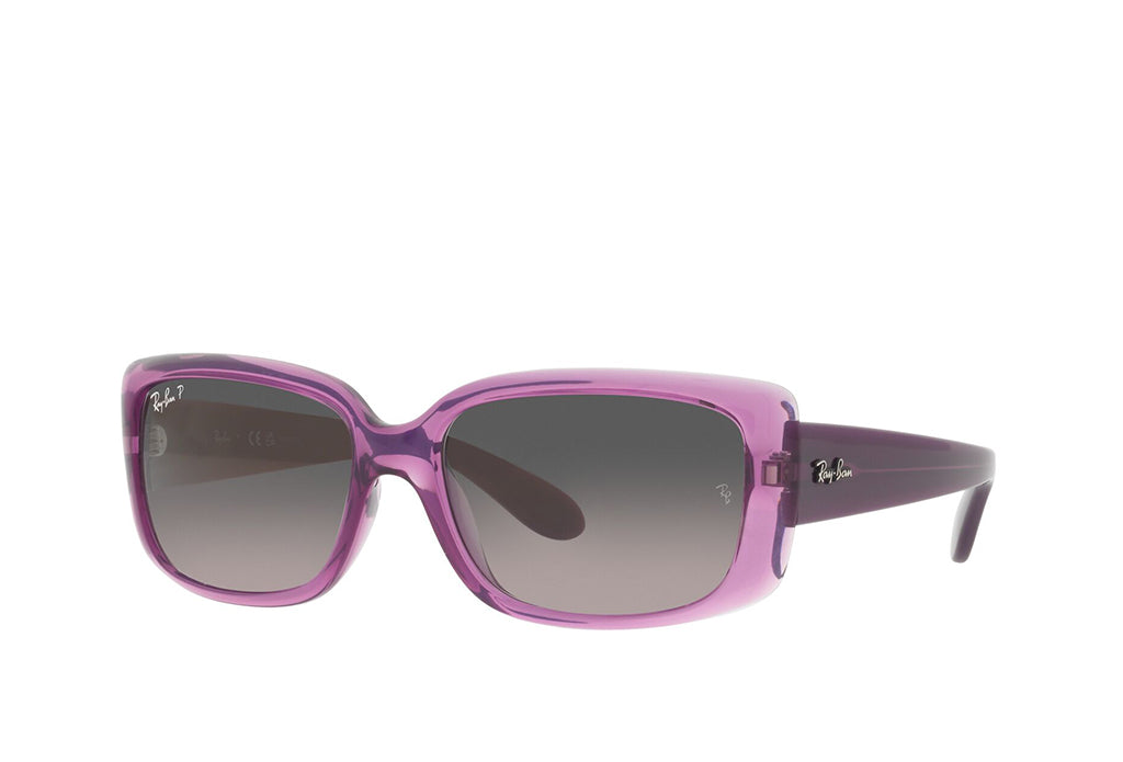 Ray-Ban 4389 Sunglass