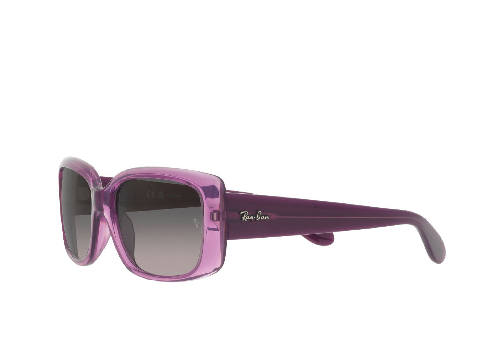 Ray-Ban 4389 Sunglass