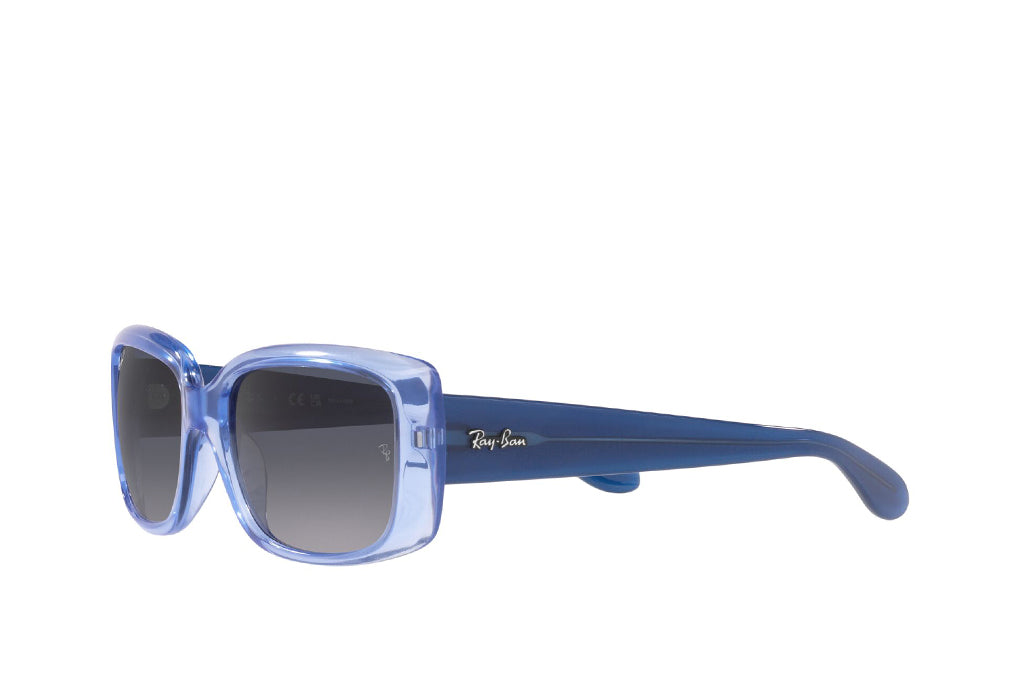 Ray-Ban 4389 Sunglass