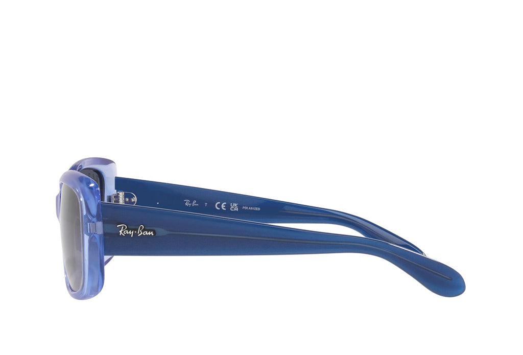 Ray-Ban 4389 Sunglass