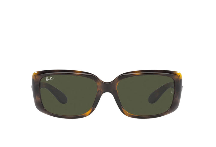 Ray-Ban 4389 Sunglass