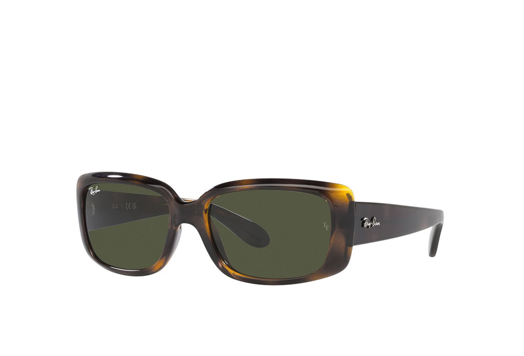 Ray-Ban 4389 Sunglass