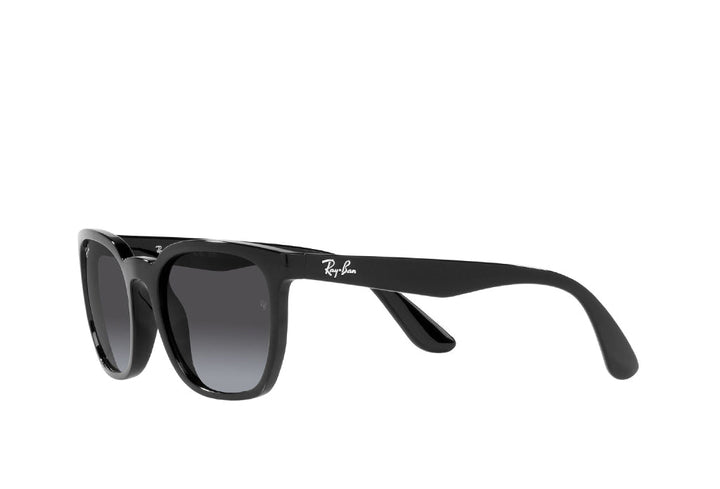 Ray-Ban 4390I Sunglass