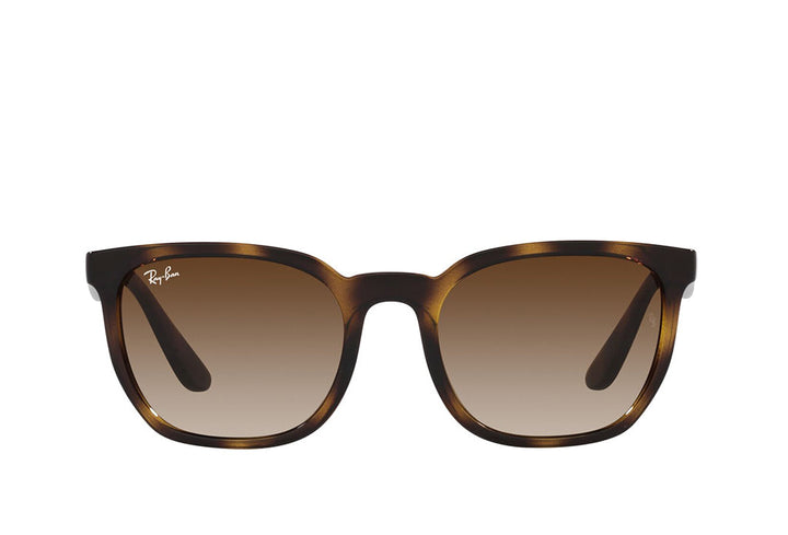Ray-Ban 4390I Sunglass