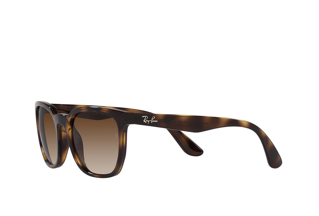 Ray-Ban 4390I Sunglass
