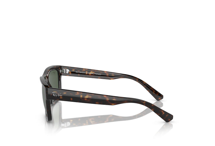Ray-Ban 4396 Sunglass