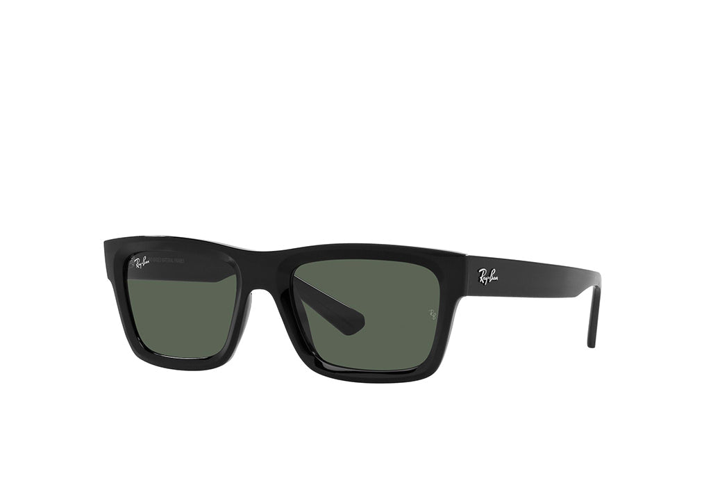 Ray-Ban 4396 Sunglass