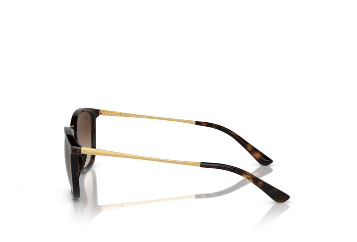 Ray-Ban 4409I Sunglass