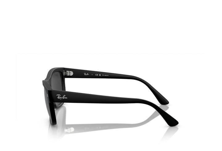 Ray-Ban 4428 Sunglass