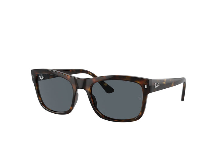 Ray-Ban 4428 Sunglass