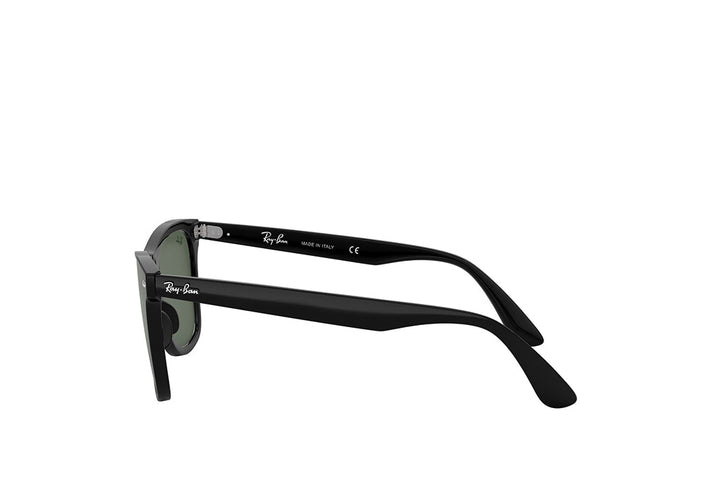 Ray-Ban 4440N Sunglass