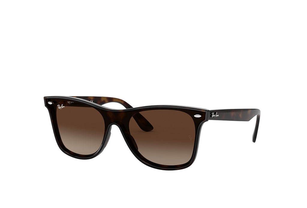 Ray-Ban 4440N Sunglass